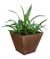 Biodegradable pots, called COIR, made from coconut fibers unveiled at the recent Atlanta International Gift and Home Furnishings Market