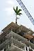The stunning Sapphire condominium in Fort Lauderdale celebrated a construction milestone recently as the twin 12-story towers were topped off. A ceremonial 20-foot Royal Palm tree and an American flag, in honor of the troops serving abroad, were placed on the roof signifying the completion of vertical construction.