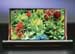 DuPont and Dainippon Screen to mass produce OLED displays, delivering higher performance at a lower cost.