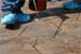 New buyer's guide on concrete sealers makes purchasing sealer easier through its extensive information