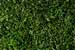 Ninety-one million Americans will
spend at least part of the upcoming Memorial Day weekend working in their
yards, according to the National Gardening Association, and it's a crucial
time for homeowners to prepare their lawns for the hot, dry summer
conditions ahead