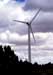 Sandia National Laboratories and Kirtland Air Force Base may soon share a wind farm that will provide as much as one-third of the electricity used by the two entities