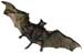 Power-generating wind turbines have long been recognized as a potentially life-threatening hazard for birds. But at most wind facilities, bats actually die in much greater numbers