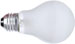 The light bulb, a defining invention of the late 19th century, will soon be a thing of the past in the European Union