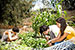 More than 28,500 students who came back to UC San Diego this year found a campus that is getting greener every day, as the university solidifies its position as a leader in sustainability among the nation�s higher education institutions