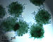 Research chemists at the University of Warwick have devised an elegant process which simply and cheaply covers small particles of polymer with a layer of silica-based nanoparticles