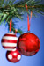 Christmas trees come in many shapes and sizes - and materials - real or fake. Depending on which tree you choose this Christmas, the impact on the environment may be large or small