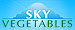 Sky Vegetables, will host a summit of industry-leading specialists from around the world at the first-ever Building-Integrated Sustainable Agriculture (B-ISA) Summit