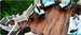 The rich look of tropical hardwoods helps deck builder grow business