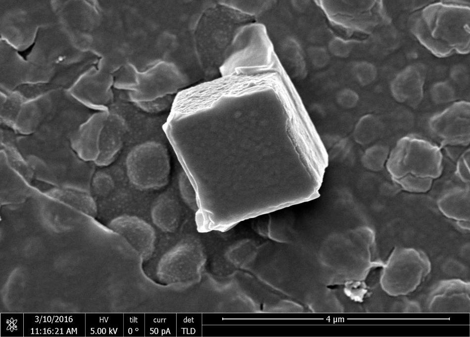 Scientists Develop Programmable Cement Particles to Achieve Enhanced