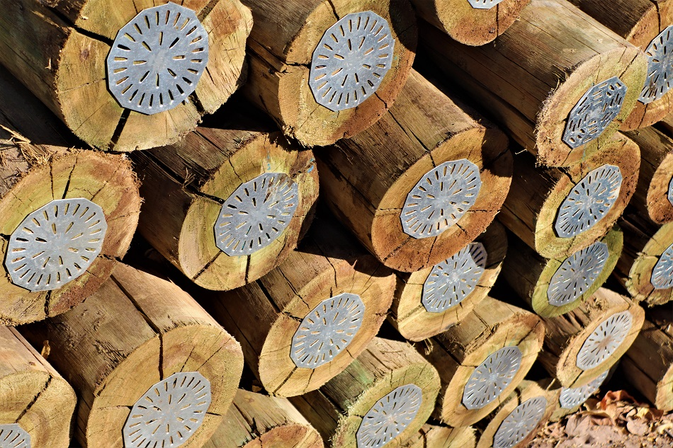 ImageForArticle_1324_15815011214836945.png