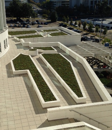 Green rooftop on the Gordon Persons Building