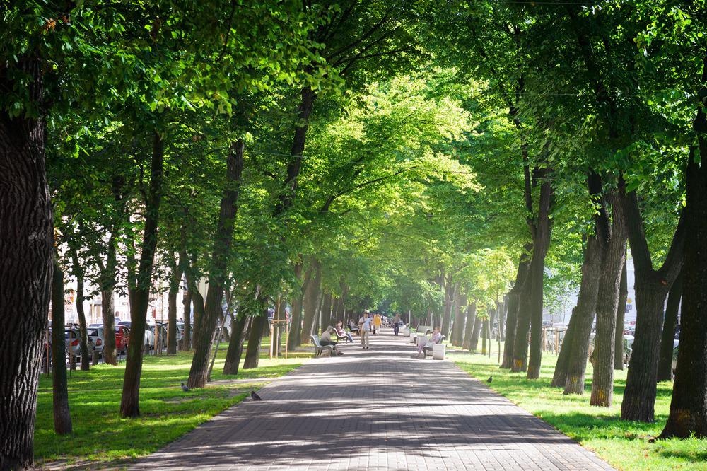 heat, heat islands, urban heat islands, cool roofs, cooling islands, rising temperatures, climate change, cities