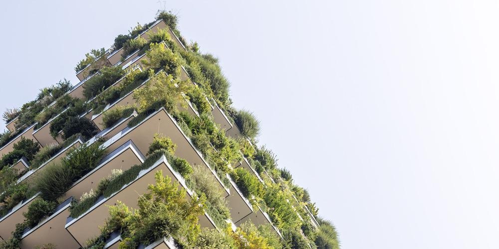 architecture, aesthetic architecture, architectural design, biophilic