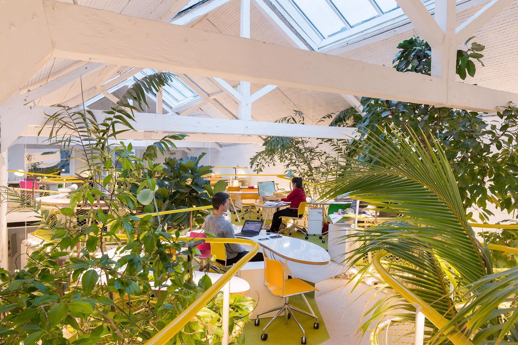 working space, Mies award, Mies van der Rohe, Mies, architecture, biophilic, design, nature, Holland park