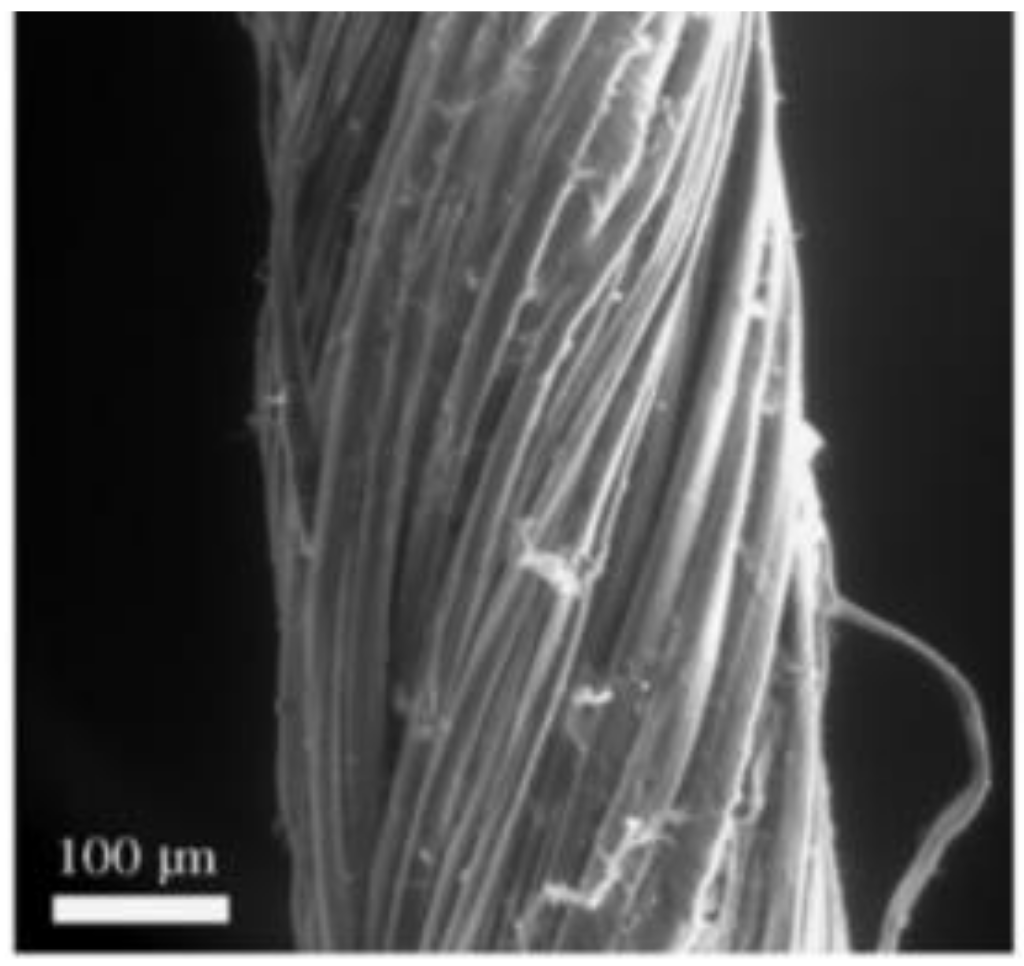 Electron microscope photo of the hemp yarn with focus on the twist angle of the individual microfibers