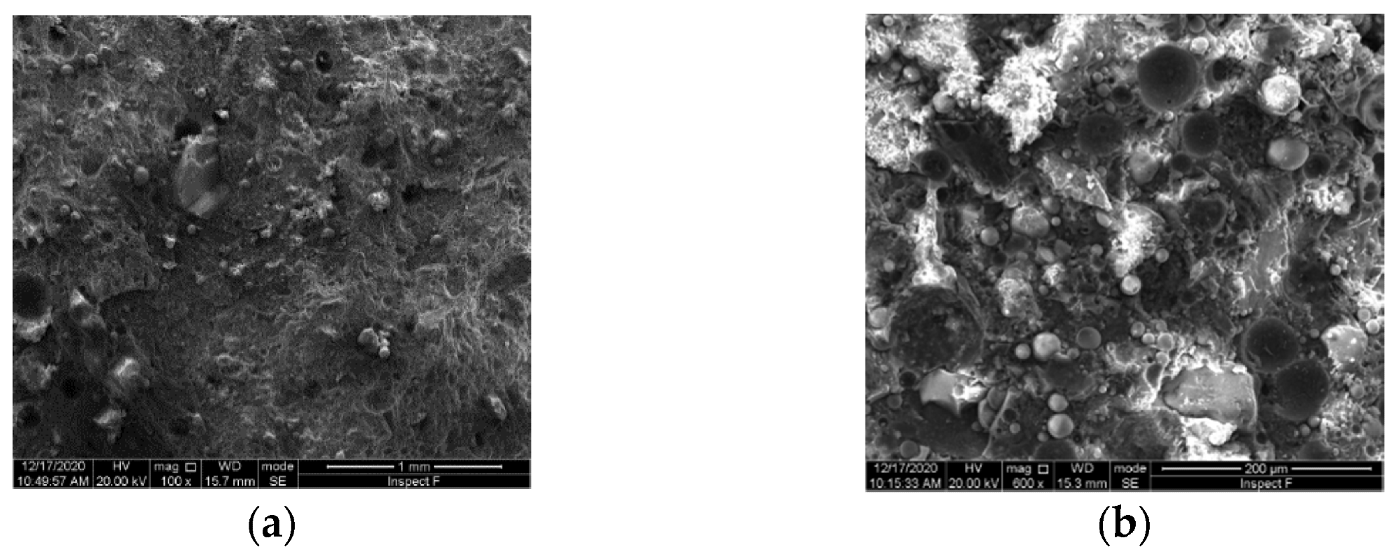 Micro-structure of GHB concrete and plain concrete: (a) GHB concrete; (b) plain concrete.