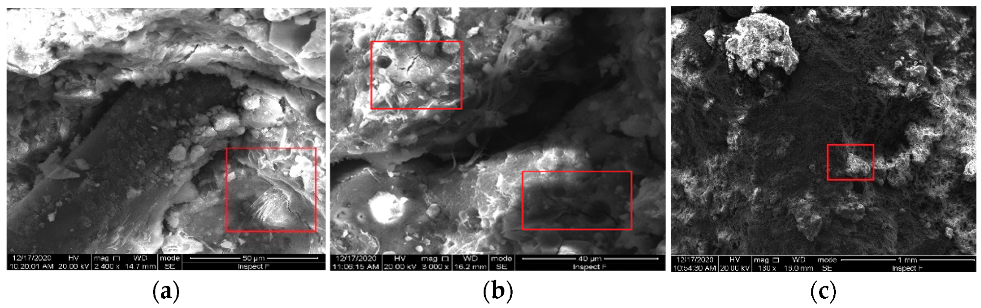 Micro-structure of GPCC: (a) fiber/matrix interface; (b) cement matrix near GHB; (c) GHB/matrix interface