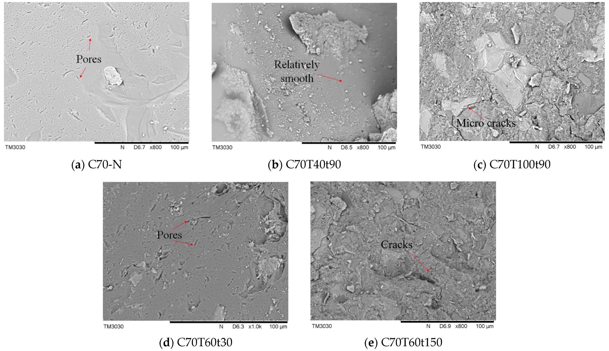 SEM images of SSC.