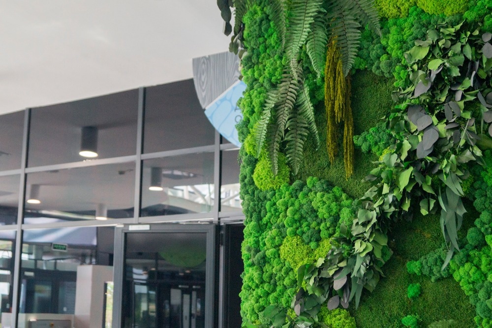 moss, urban greening, green space, urban