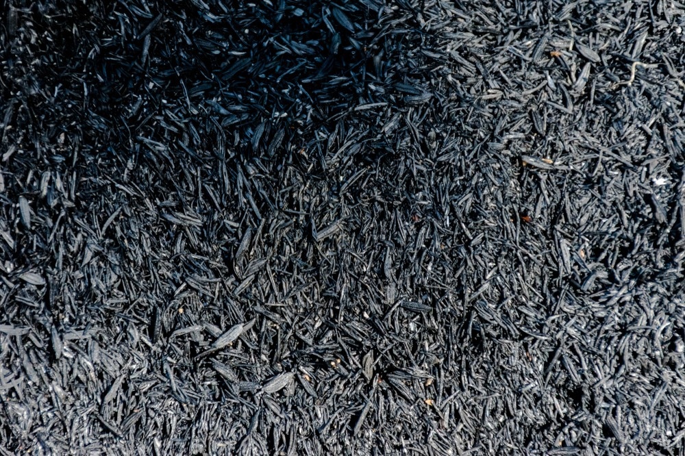 biochar, biochar cladding, biochar cladding material
