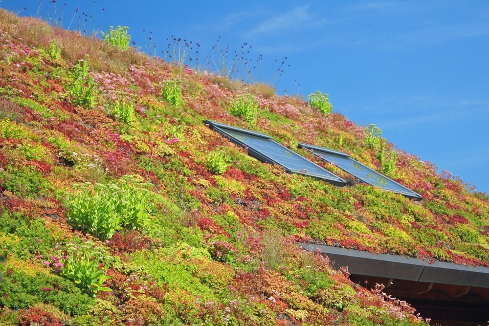 green roofs, how to build a green roof, how to construct a green roof