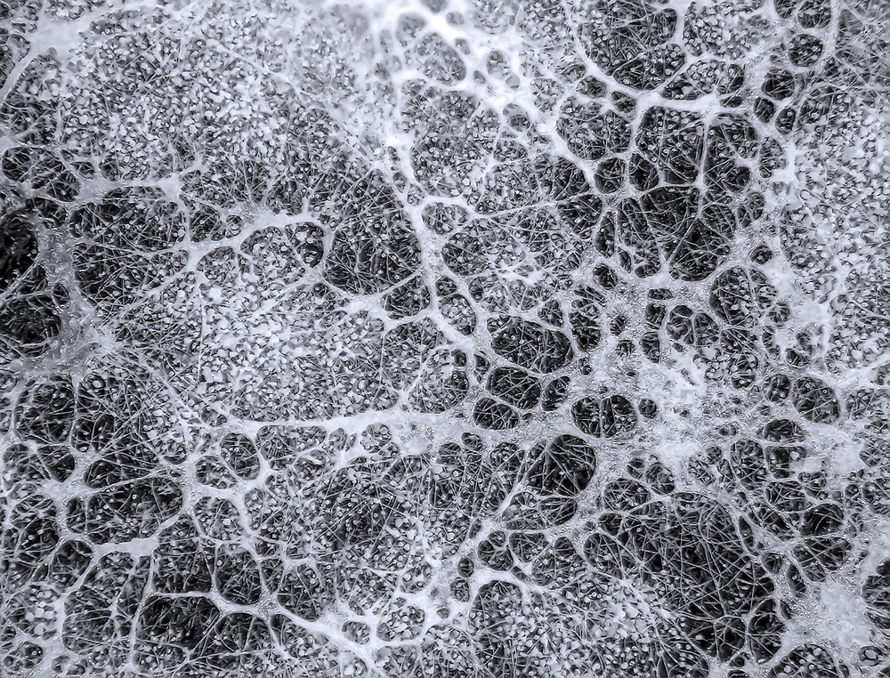What is Mycocrete, mycelium concrete