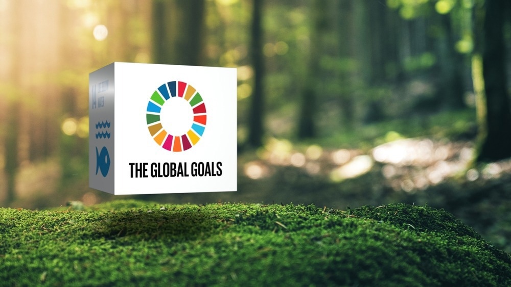UN Decarbonization Plan, construction sector, carbon emissions construction, decarbonizing construction