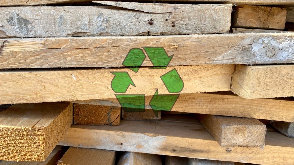 Biodegradable Building, Can You Create a Biodegradable Building