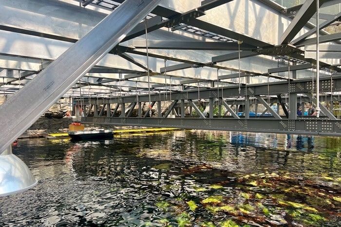 The Fiberglass Over the Marine Mesocosm