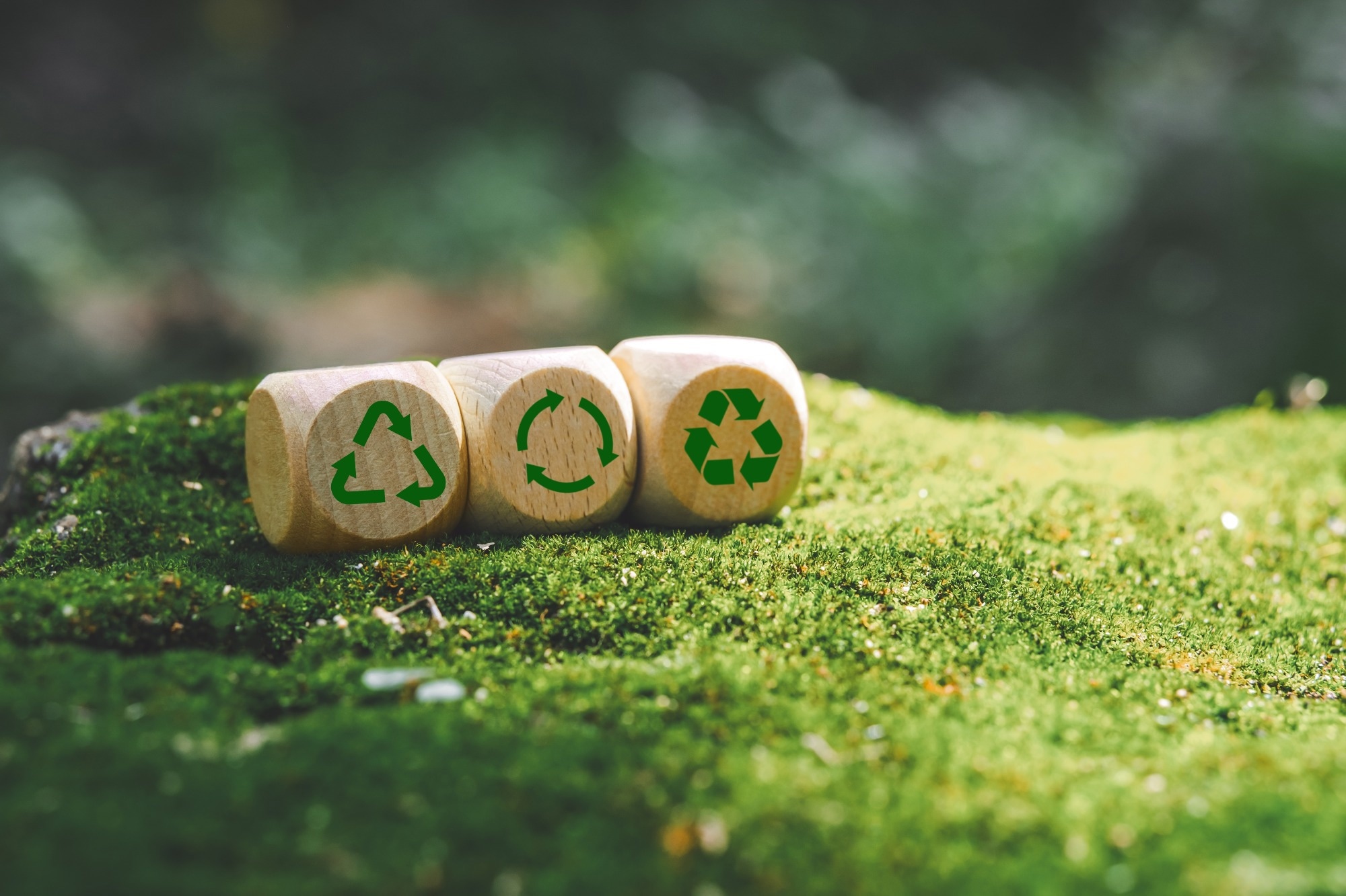 Three wooden dice with the reduce, reuse, and recycle symbols sitting on moss