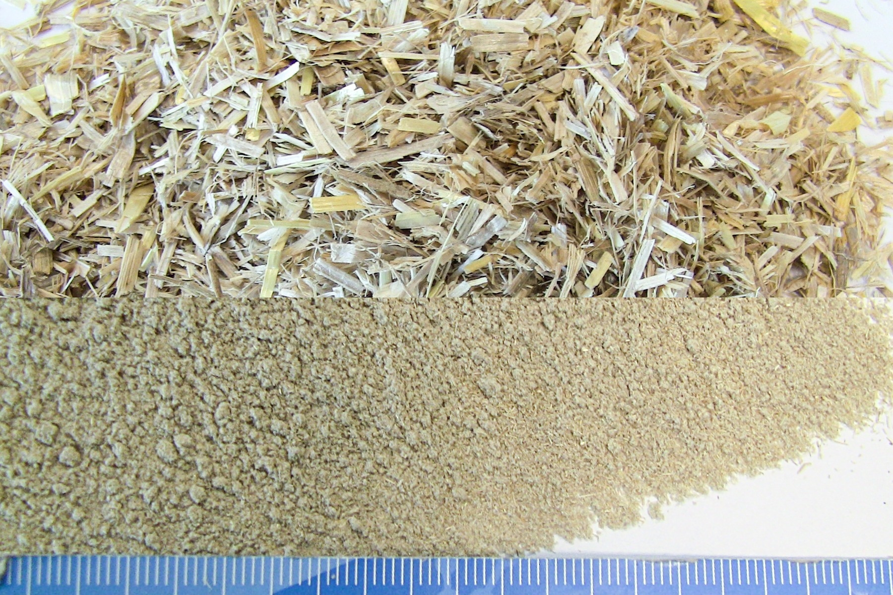SR 300. 7 min | < 200 µm