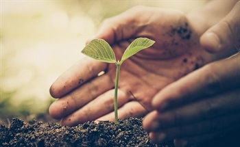 5 Tips to Make Your Home More Sustainable