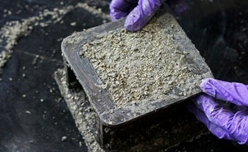 Industrial Hemp as a Building Material