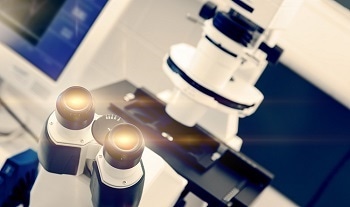Examining Bacteria and Toxins in Building Materials