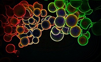 Using Nanoparticles in Construction