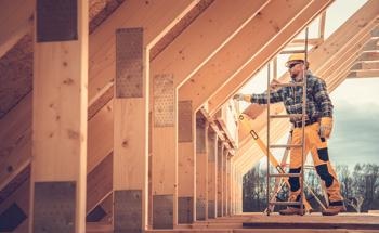 Mass Timber and its Use in Architectural Planning