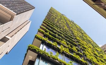 Vertical Cities: Innovations to Overcome Urban Space Shortages