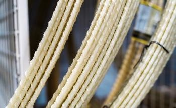 Exploring the Durability of GFRP Bars in Natural Seawater