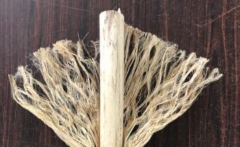 Hemp Fibers in Sustainable Composite Building Materials