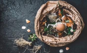 Enhancing Cement with Organic Waste