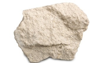 Cleaner Construction with Carbon-Negative Algae-Grown Limestone