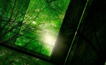 Carbon-Negative Building Systems to Reduce Emissions