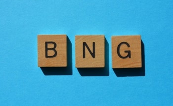 What to Know About Biodiversity Net Gain and Planning Permissions