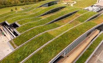 Emerging Trends in Green Roofing Materials