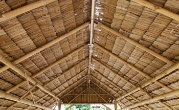 Engineered Bamboo – The Future of Sustainable Construction