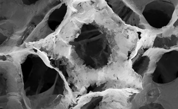 Is Graphene Oxide the Future of Cement, or Are Dispersion Issues Too Big to Ignore?