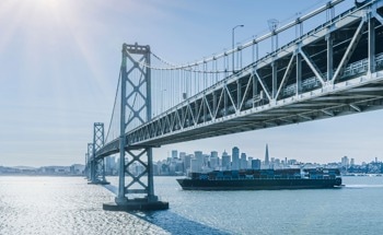 The Physics Behind Bridges That "Sing" in the Wind