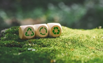 Bio-Based Building Materials Beyond Timber: How Renewable Materials Are Reshaping Construction