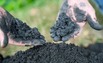 Could Biochar Replace Cement in the Concrete of the Future?